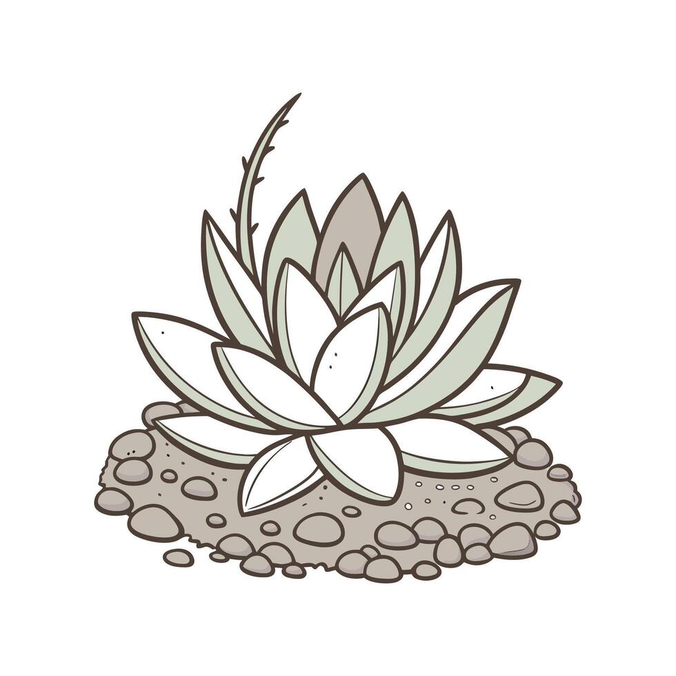 Stunning Living Stone Plant Illustration Design vector
