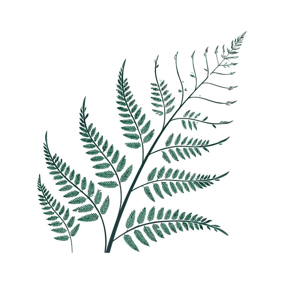 Charming Adiantum Plant Illustration Design vector