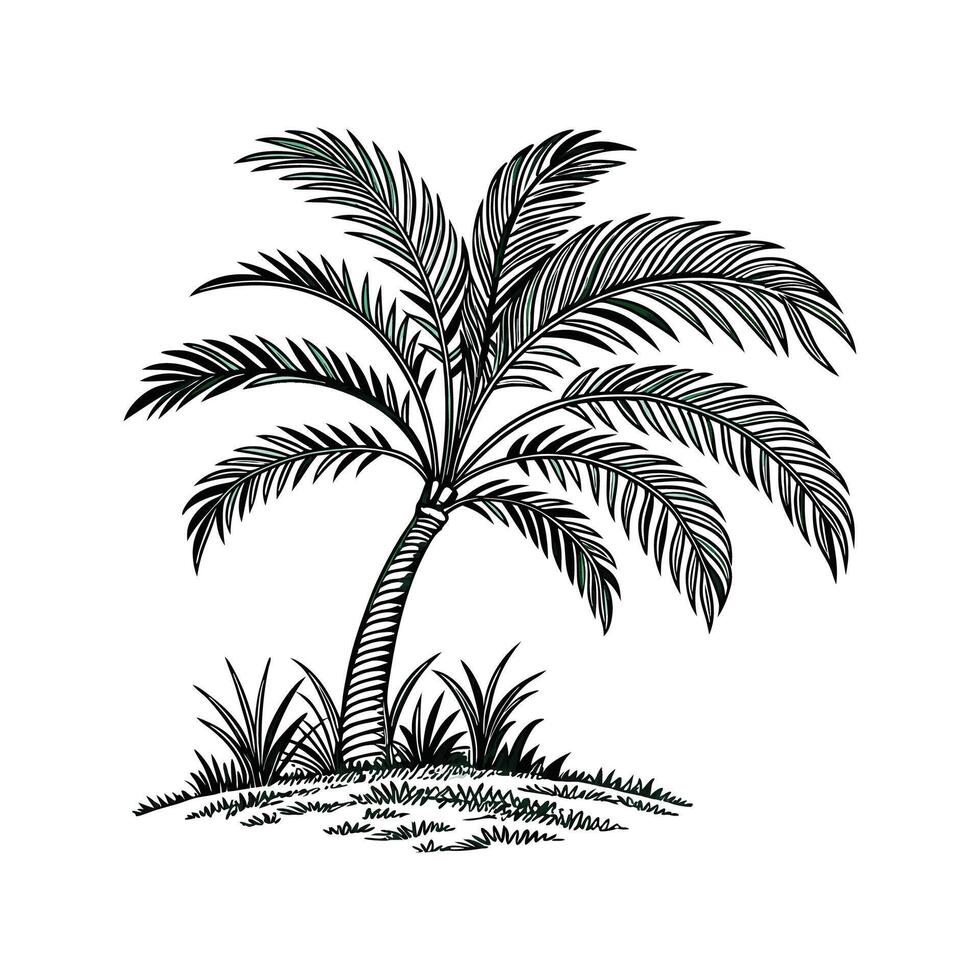 Elegant Areca Palm Plant Unique Design vector