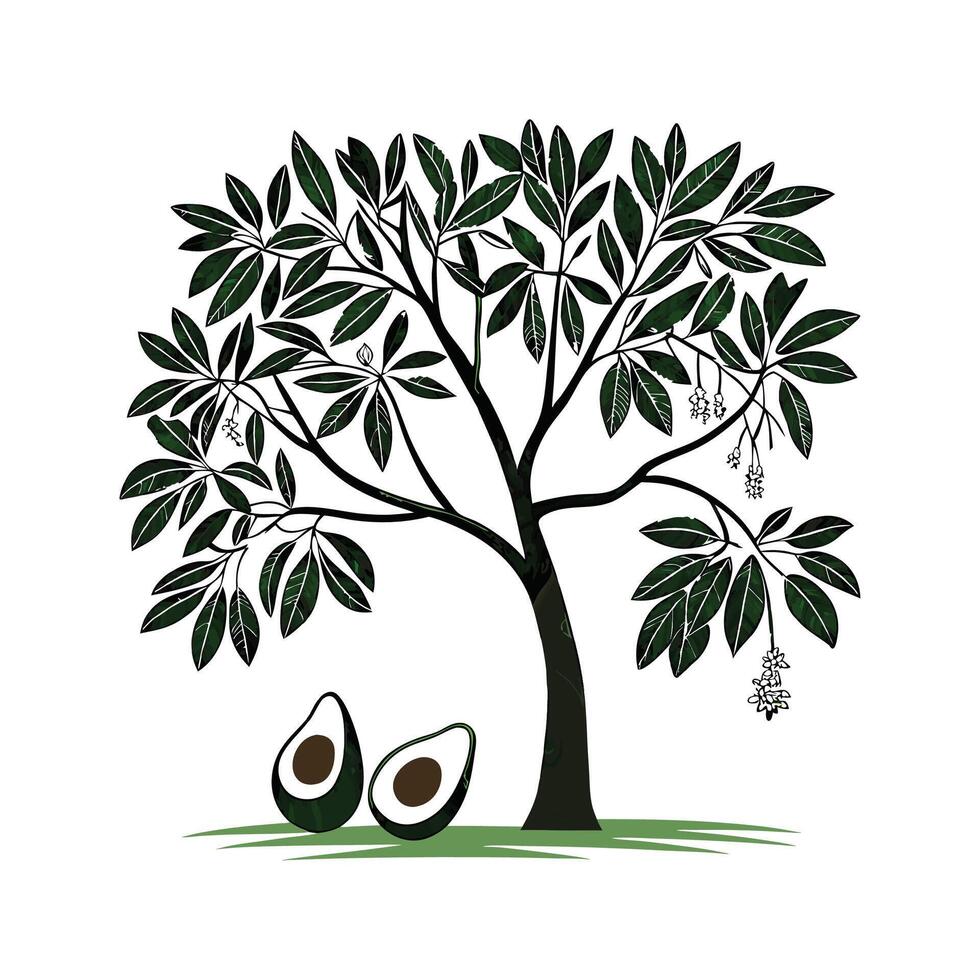 Stylish Avocado Tree Unique Illustration vector