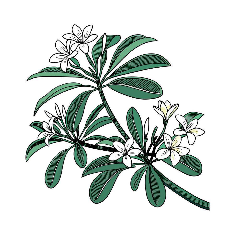 Charming Balinese Plant Illustration Design vector