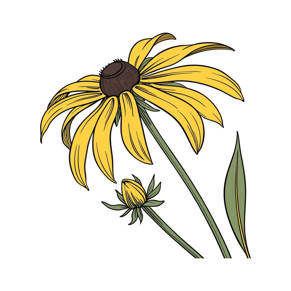 Vibrant BlackEyed Susan Floral Design vector