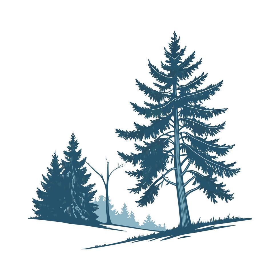 Stylish Blue Spruce Tree Illustration Design vector