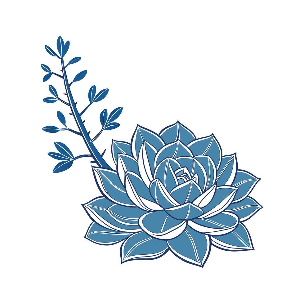 Stylish Blue Echeveria Succulent Illustration vector