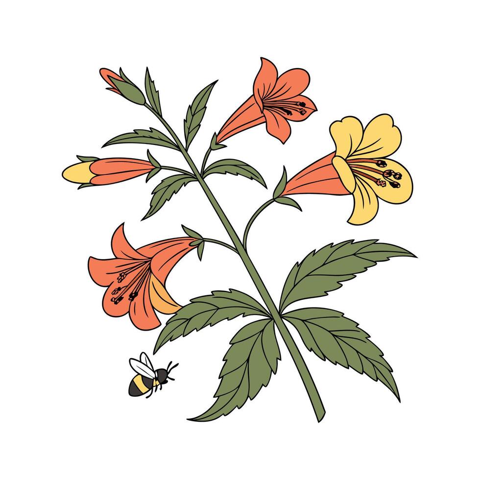 Distinctive Bumblebee Plant Mimulus Illustration vector