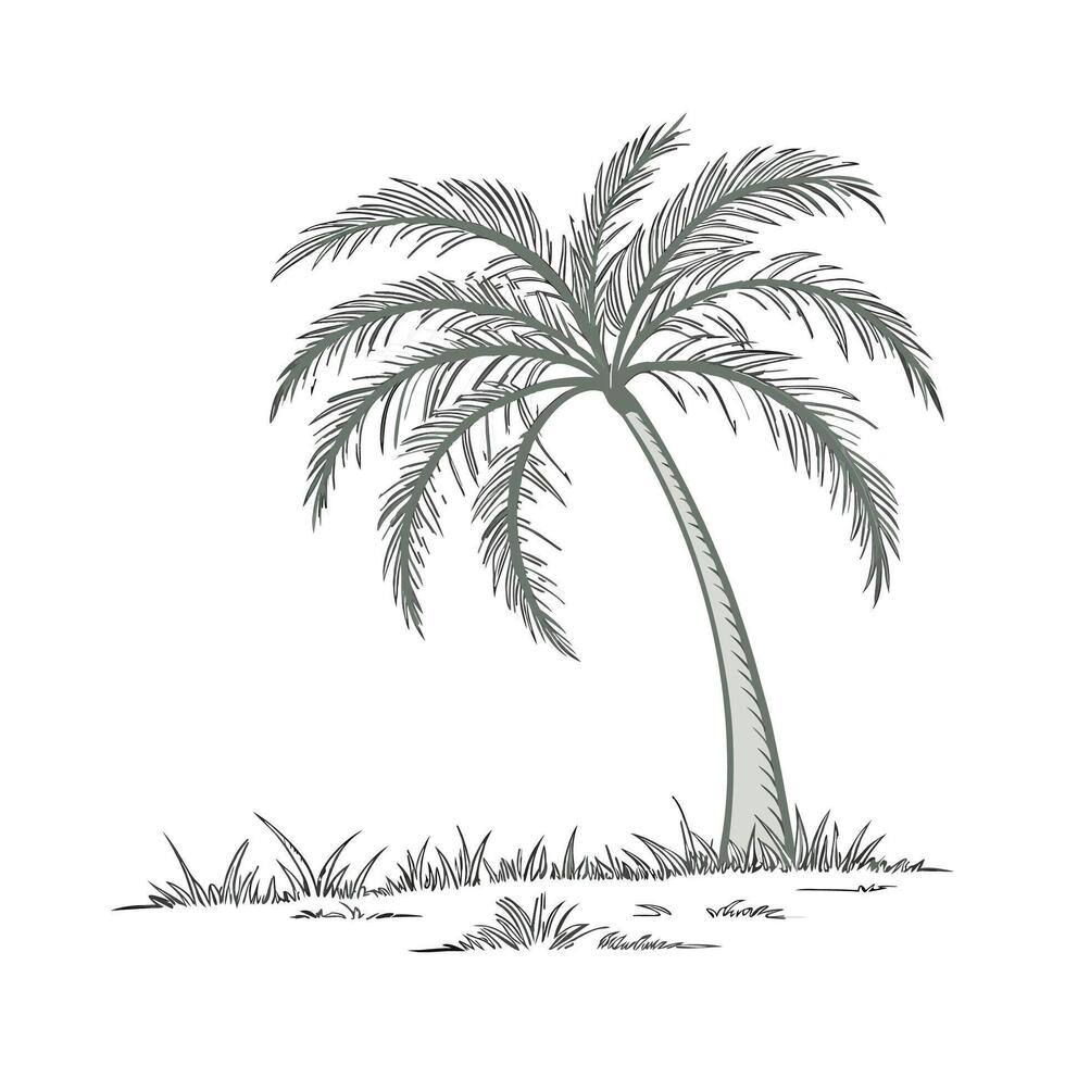Stylish Carnauba Palm Unique Design vector