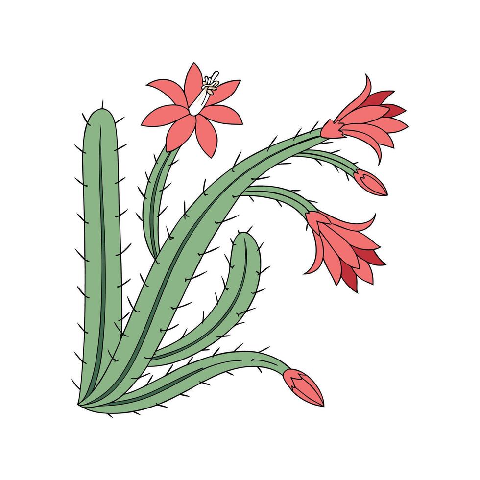 Stylish Christmas Cactus Illustration Design vector