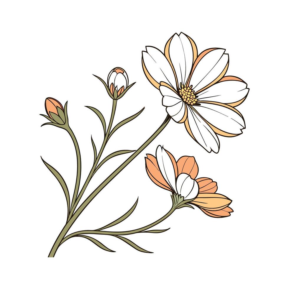 Beautiful Coreopsis Plant Illustration vector