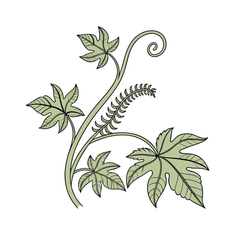 Elegant Corkscrew Plant Unique Design vector