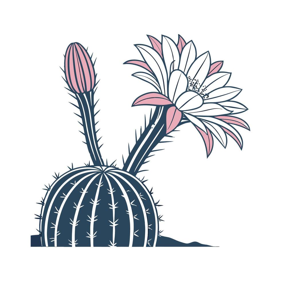 Beautiful Echinopsis Plant Unique Design vector