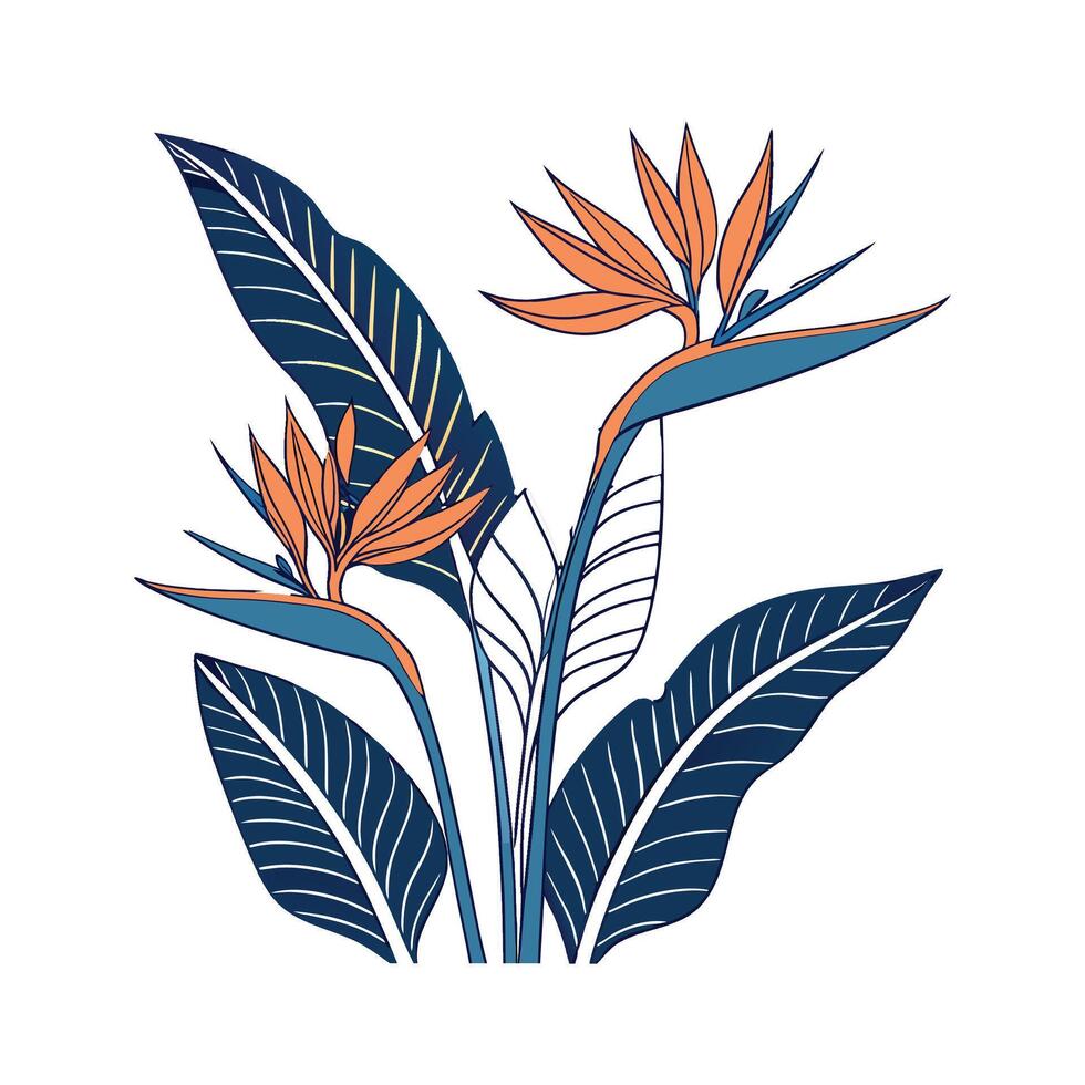 Charming Giant Bird of Paradise Plant Illustration vector