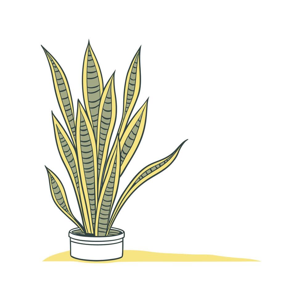 Stylish Golden Snake Plant Illustration vector