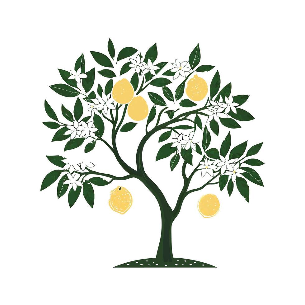 Charming Grapefruit Tree Illustration vector