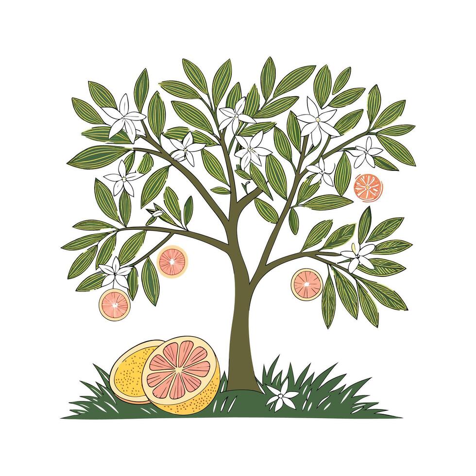 Stylish Grapefruit Tree Unique Design vector