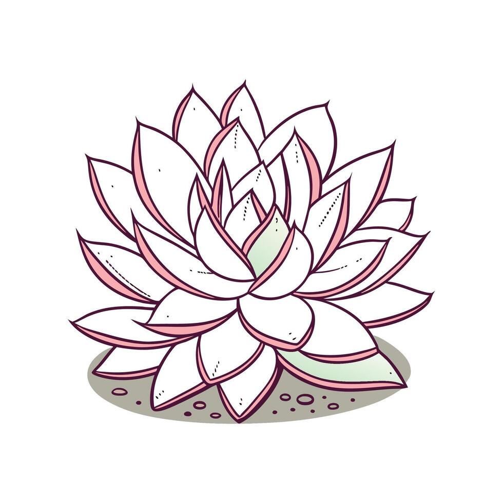 Charming Graptoveria Plant Unique Design vector