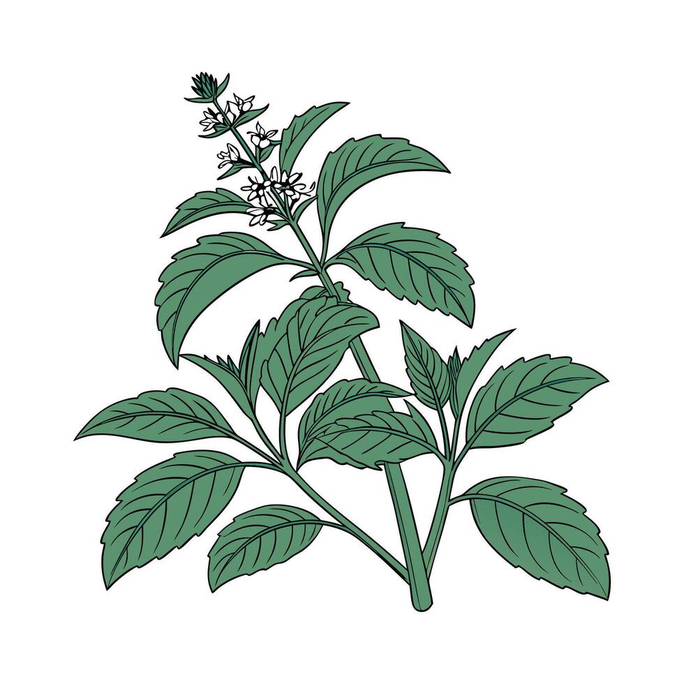 Charming Guinea Plant Unique Design vector