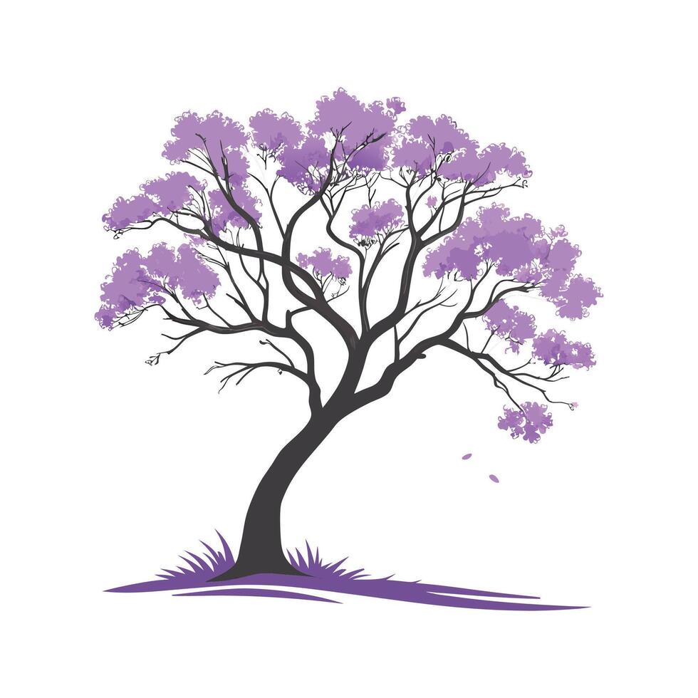 Stylish Jacaranda Plant Illustration vector