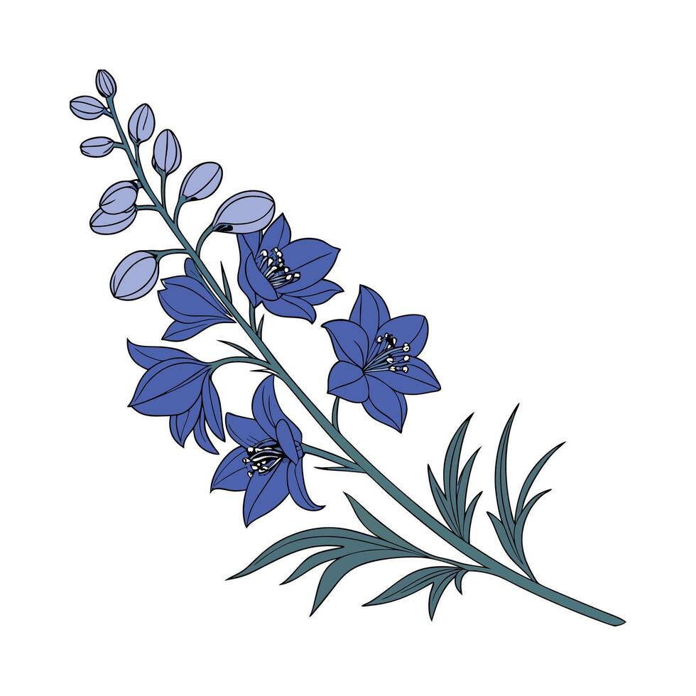 Stylish Larkspur Plant Unique Design vector