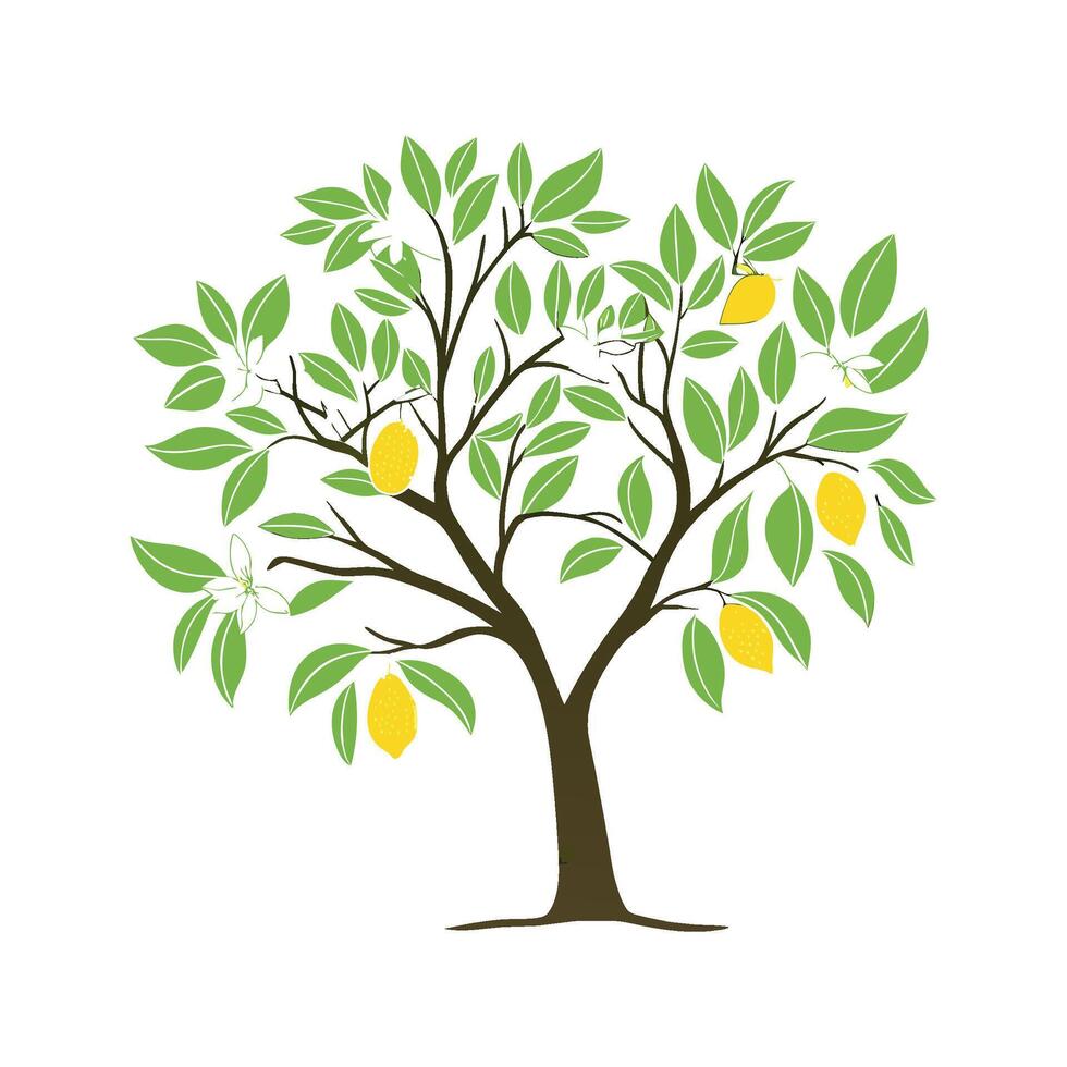 Charming Lemon Tree Citrus Limon Illustration vector