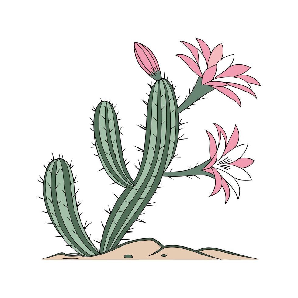 Distinctive Lepismium Plant Illustration vector