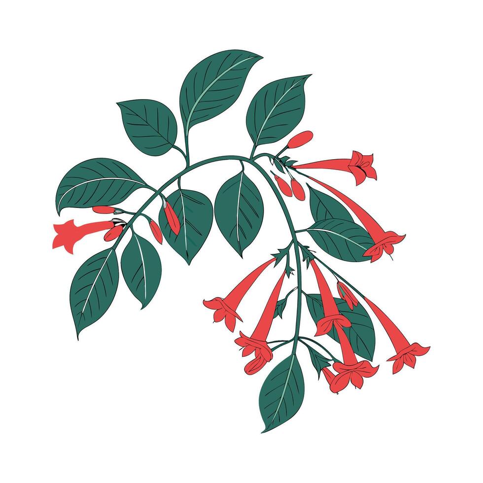 Charming Lipstick Plant Unique Design vector