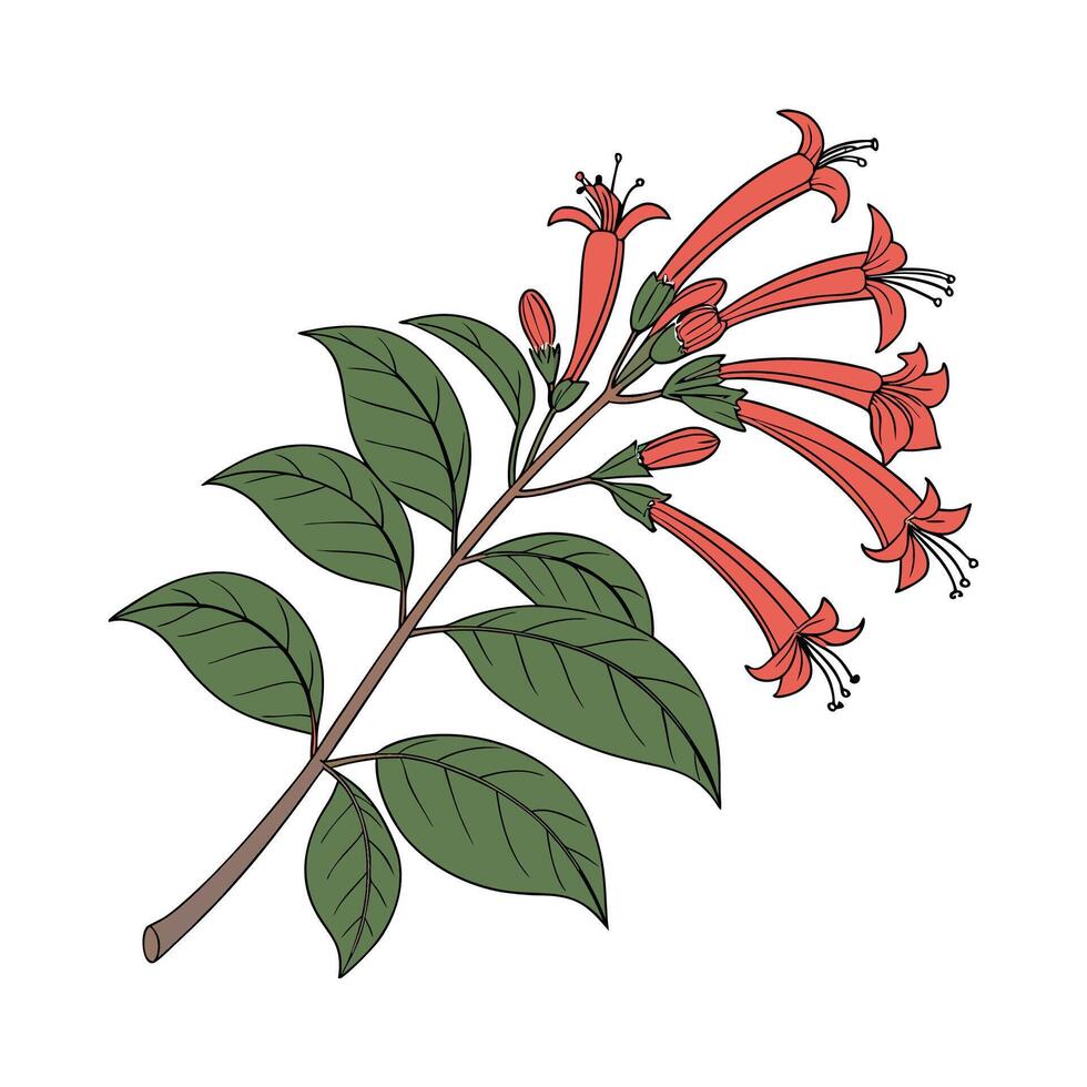 Stylish Lipstick Plant Illustration. vector
