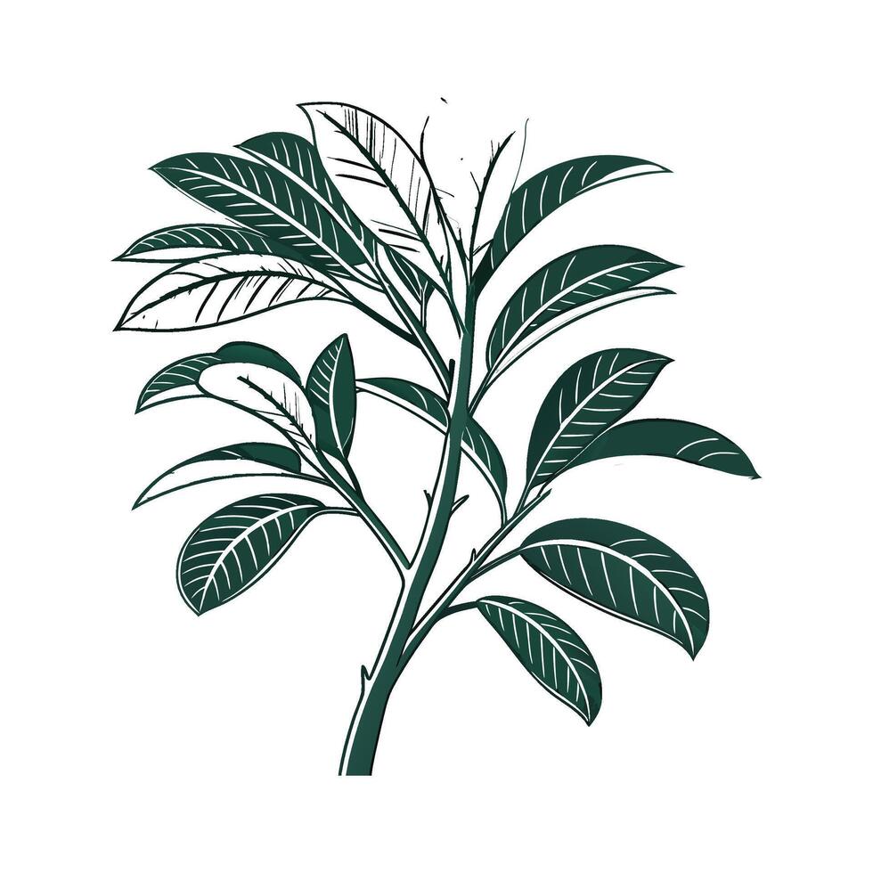Charming ZZ Plant Unique Design vector