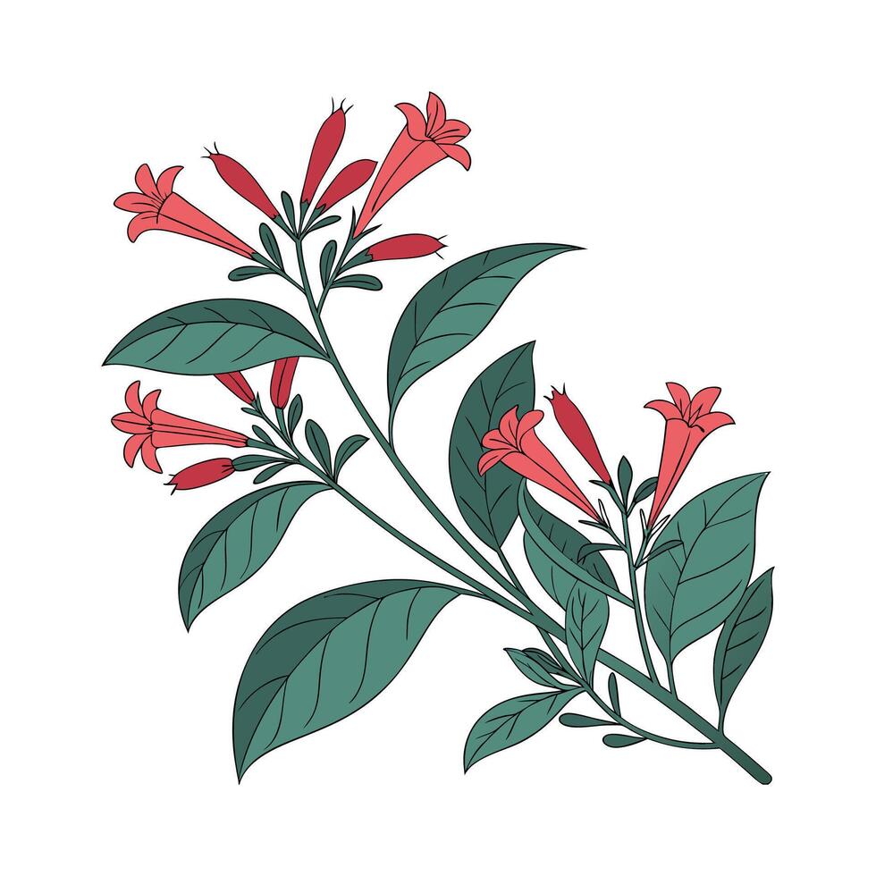 Distinctive Lipstick Plant Unique Design vector