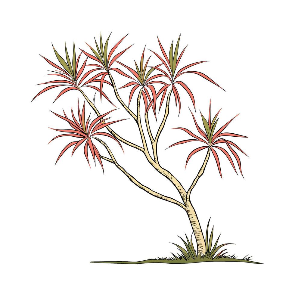Stylish Madagascar Dragon Tree Illustration vector