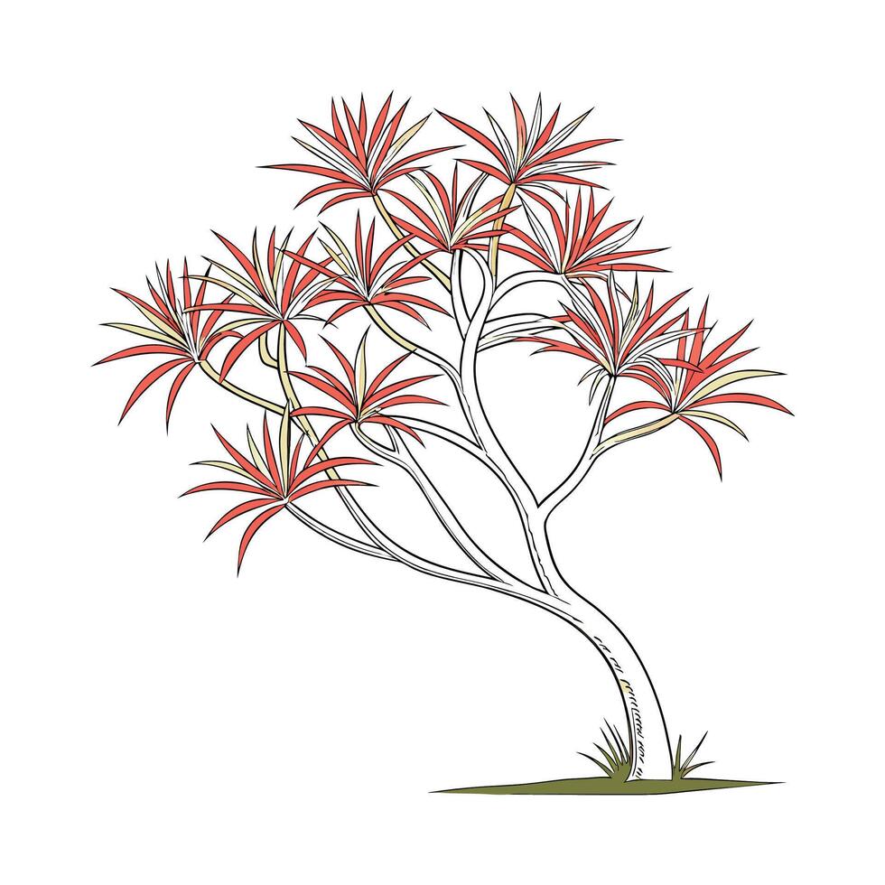Elegant Madagascar Dragon Tree Design vector