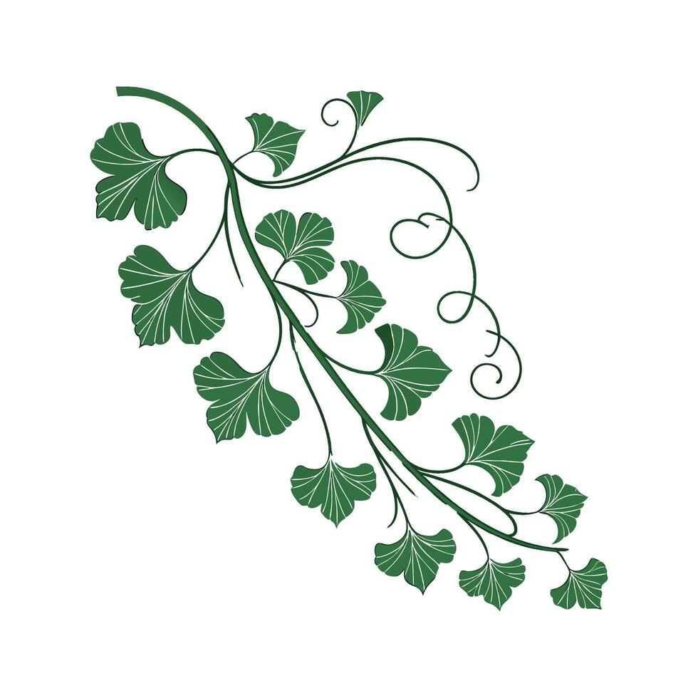 Creative Maidenhair Vine Design vector