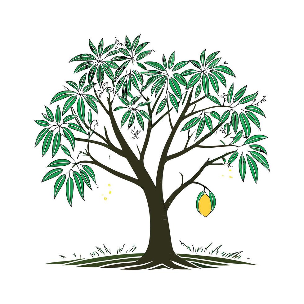 Mango Tree Illustration on White Background vector