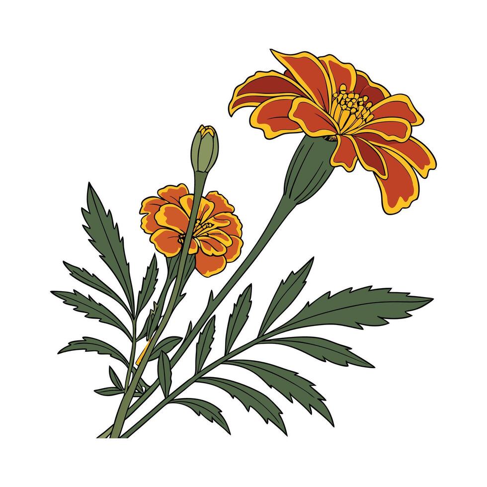 Charming Marigold Design vector