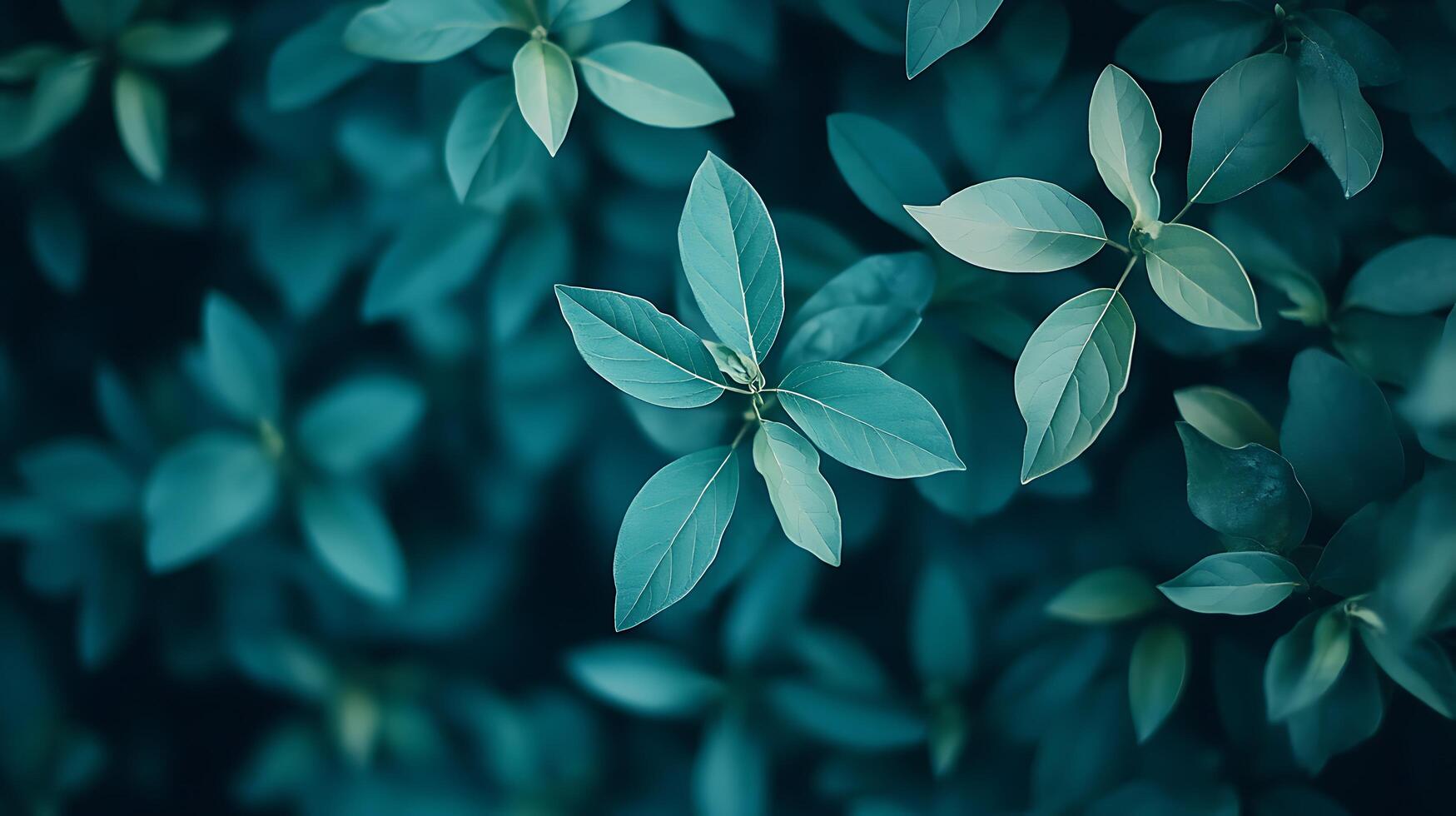 Detailed Top View of Fresh Green Leaves on Soil photo