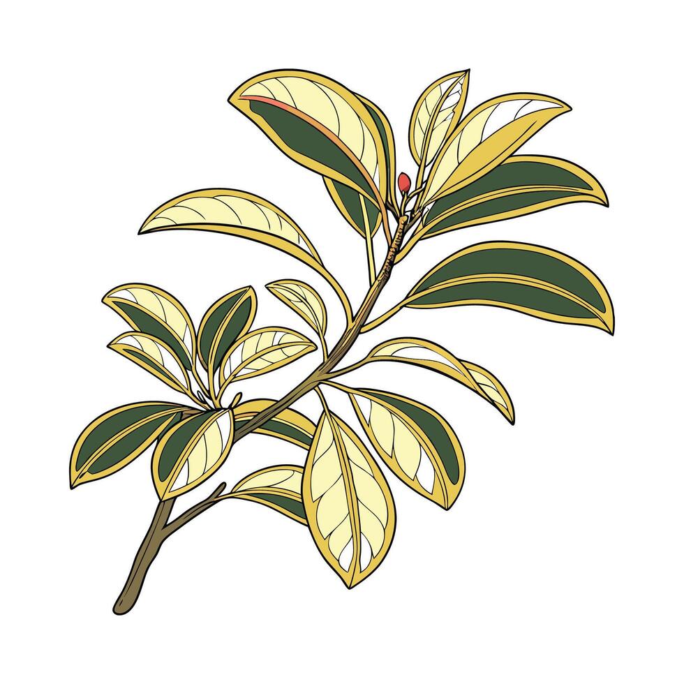 Charming Mirror Plant Design vector