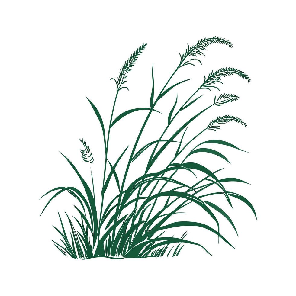 Stylish Monkey Grass Illustration vector
