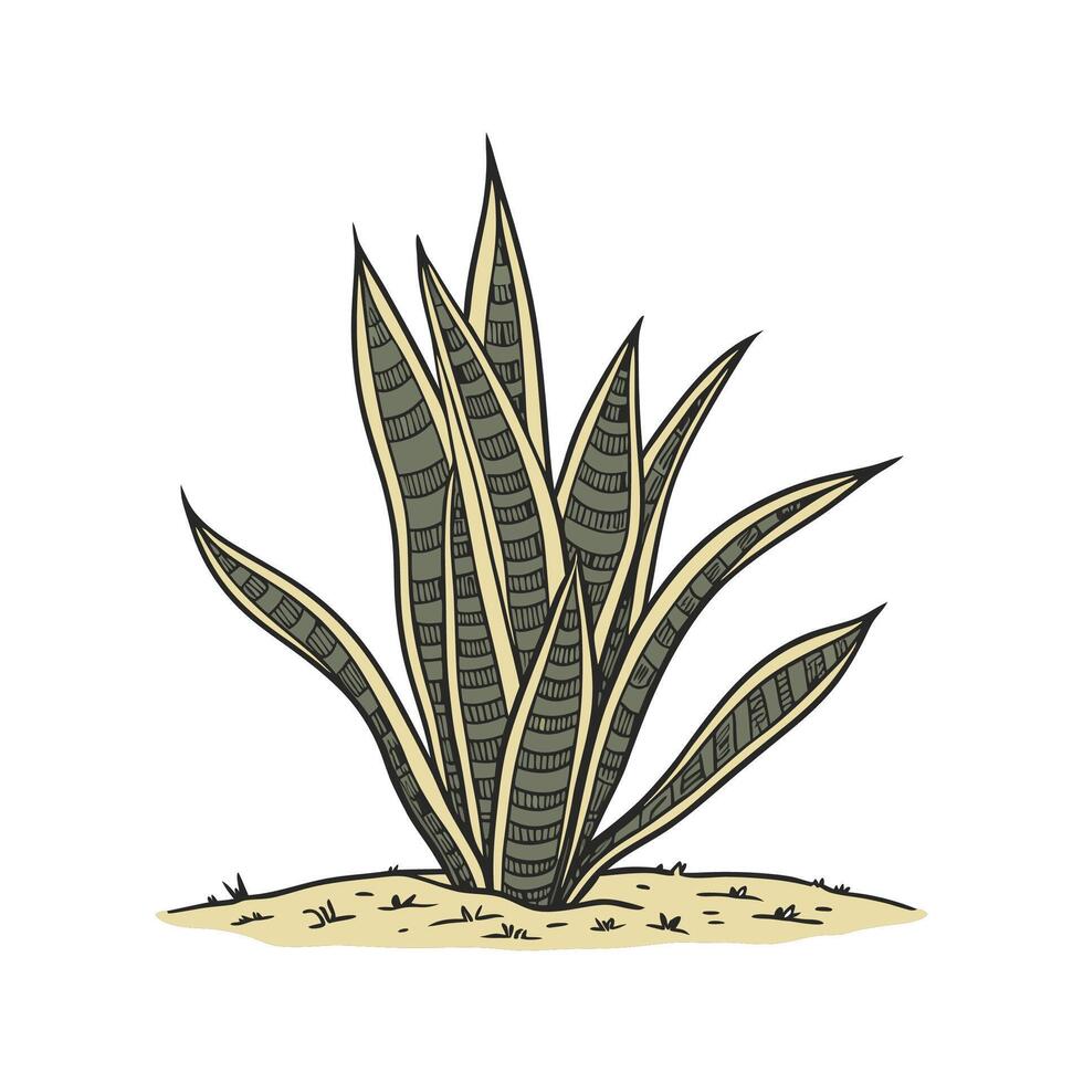 Stylish MotherinLaws Tongue Sansevieria Plant Illustration vector