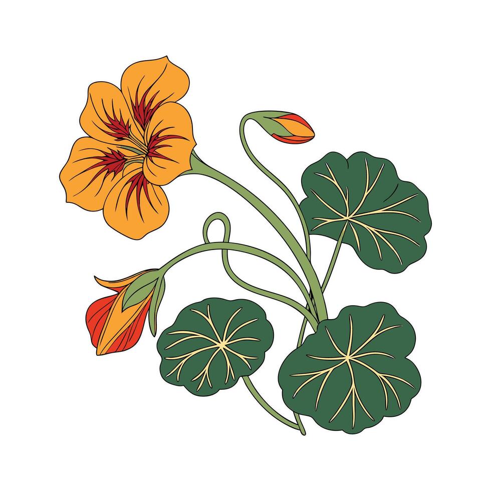 Charming Nasturtium Design vector