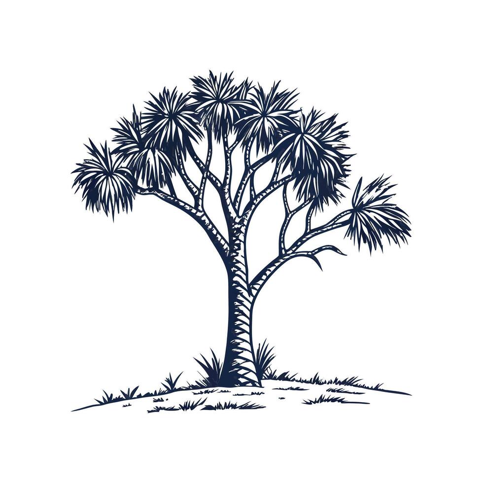 Needle Palm Plant Illustration on White vector