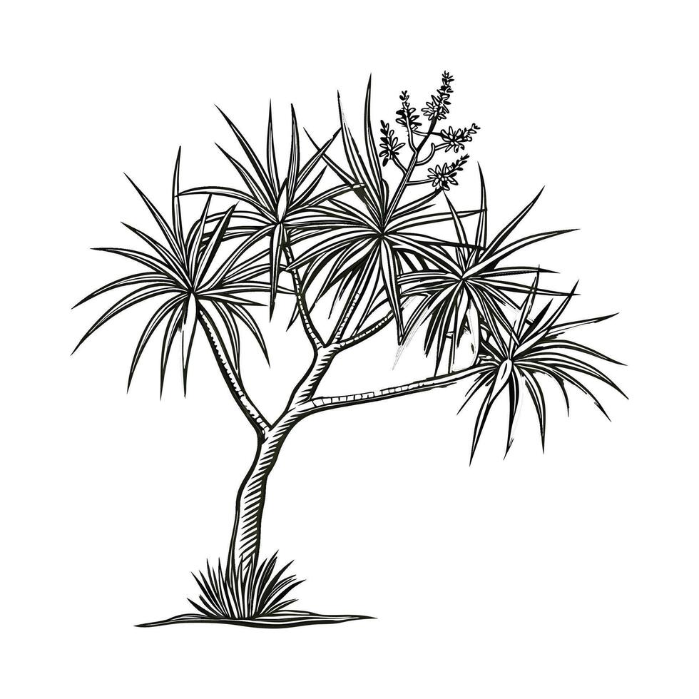 Charming Needle Palm Design vector