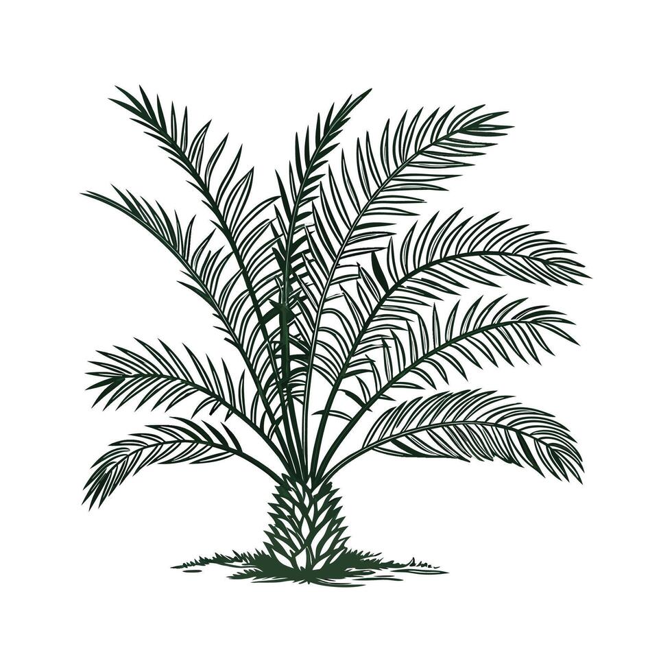 Elegant Needle Palm Illustration Art vector