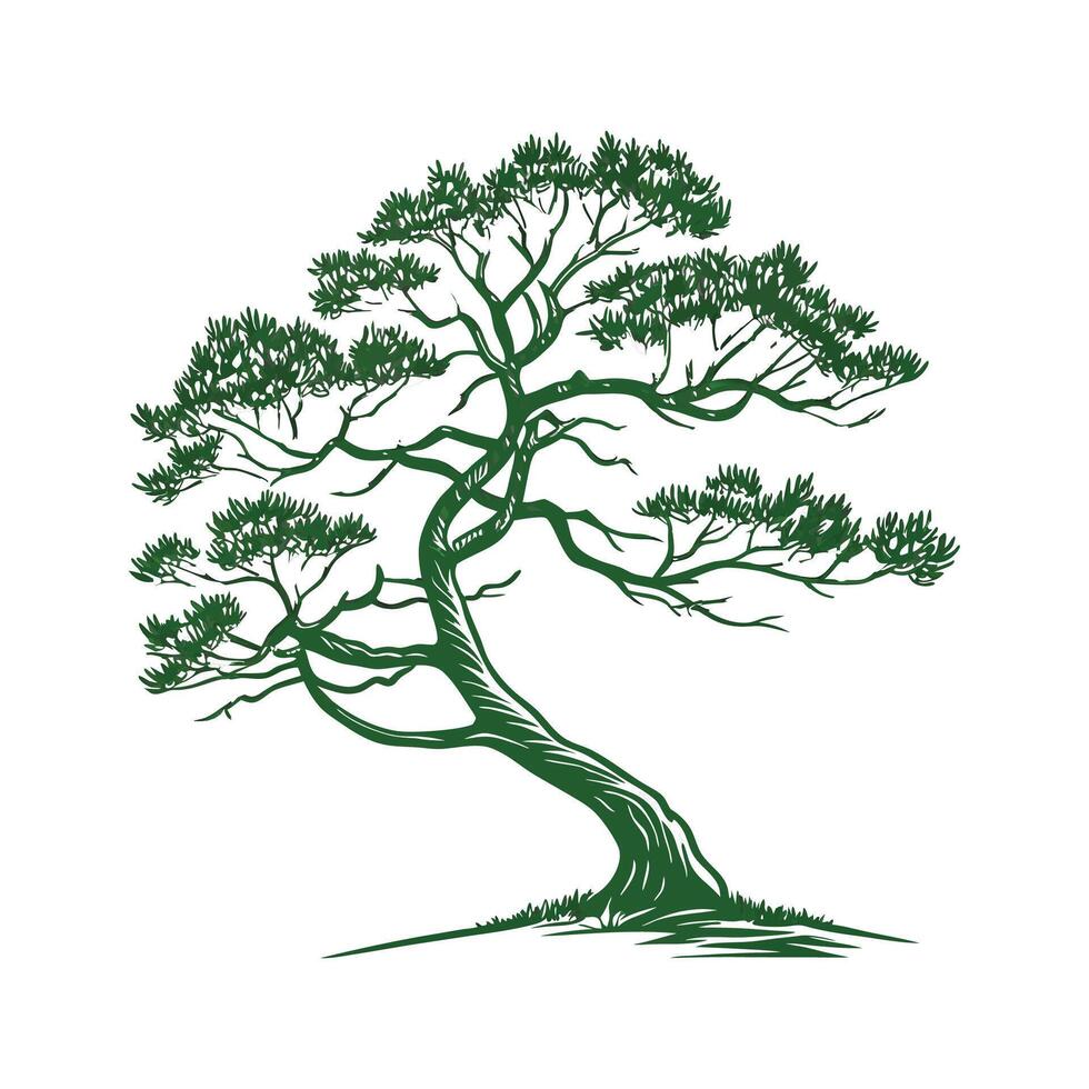 Charming Norfolk Island Pine Design vector