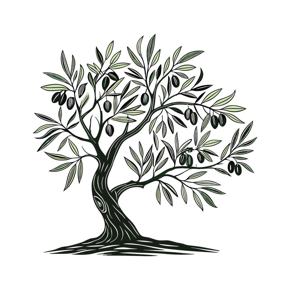 Charming Olive Tree Unique Design vector