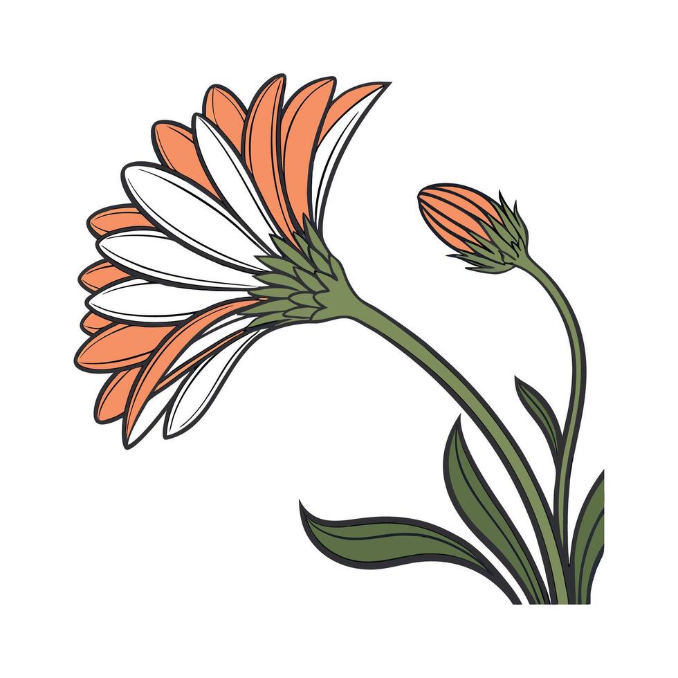 Stylish Gerbera Flower Design vector