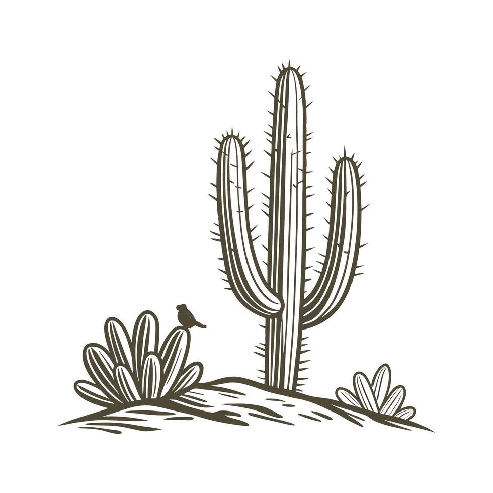 Striking Organ Pipe Cactus on a White Background vector