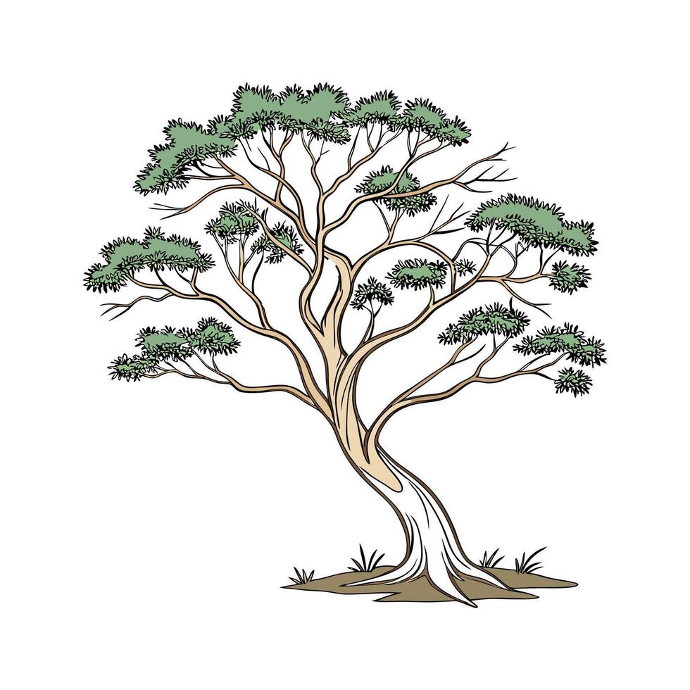 Lush Paperbark Tree Displayed on White vector