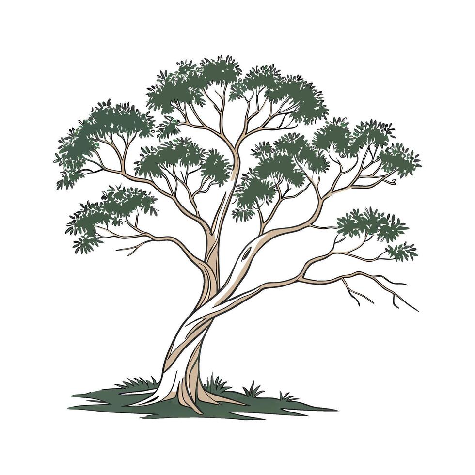 Beautiful Paperbark Tree on Bright White Canvas vector