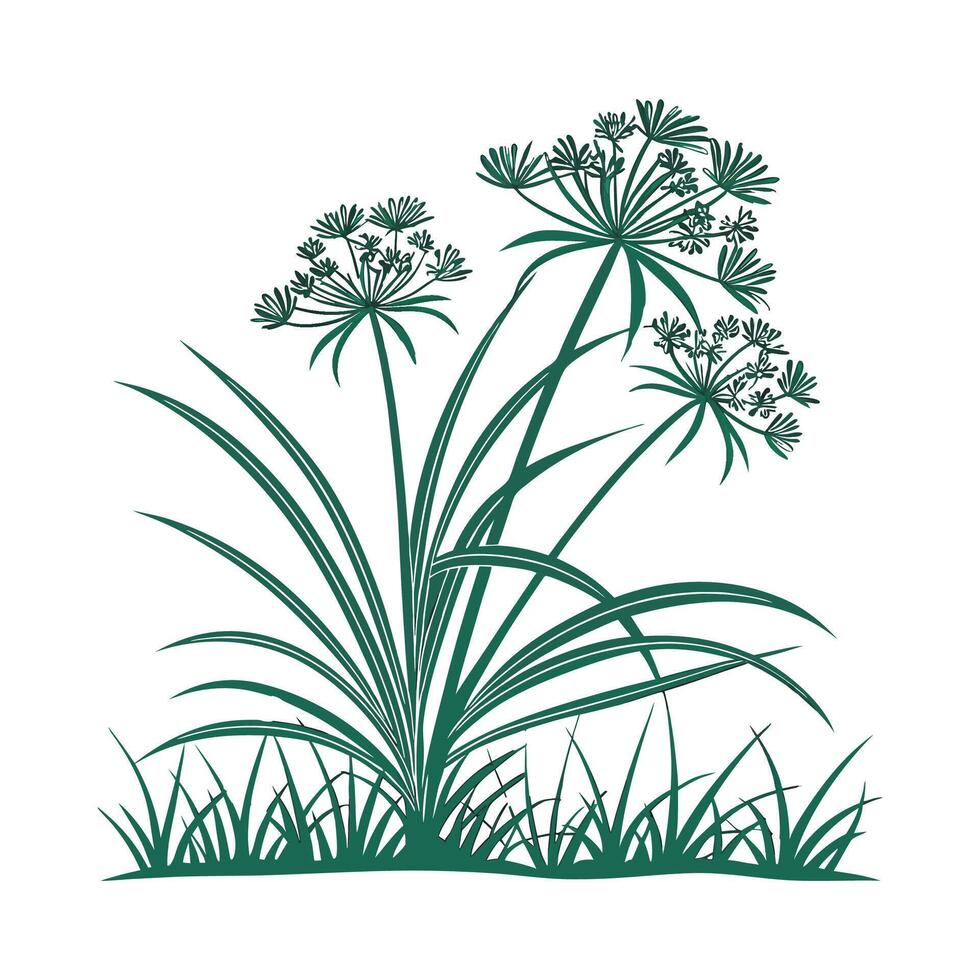 Vibrant Cyperus Papyrus Displayed on White Surface vector