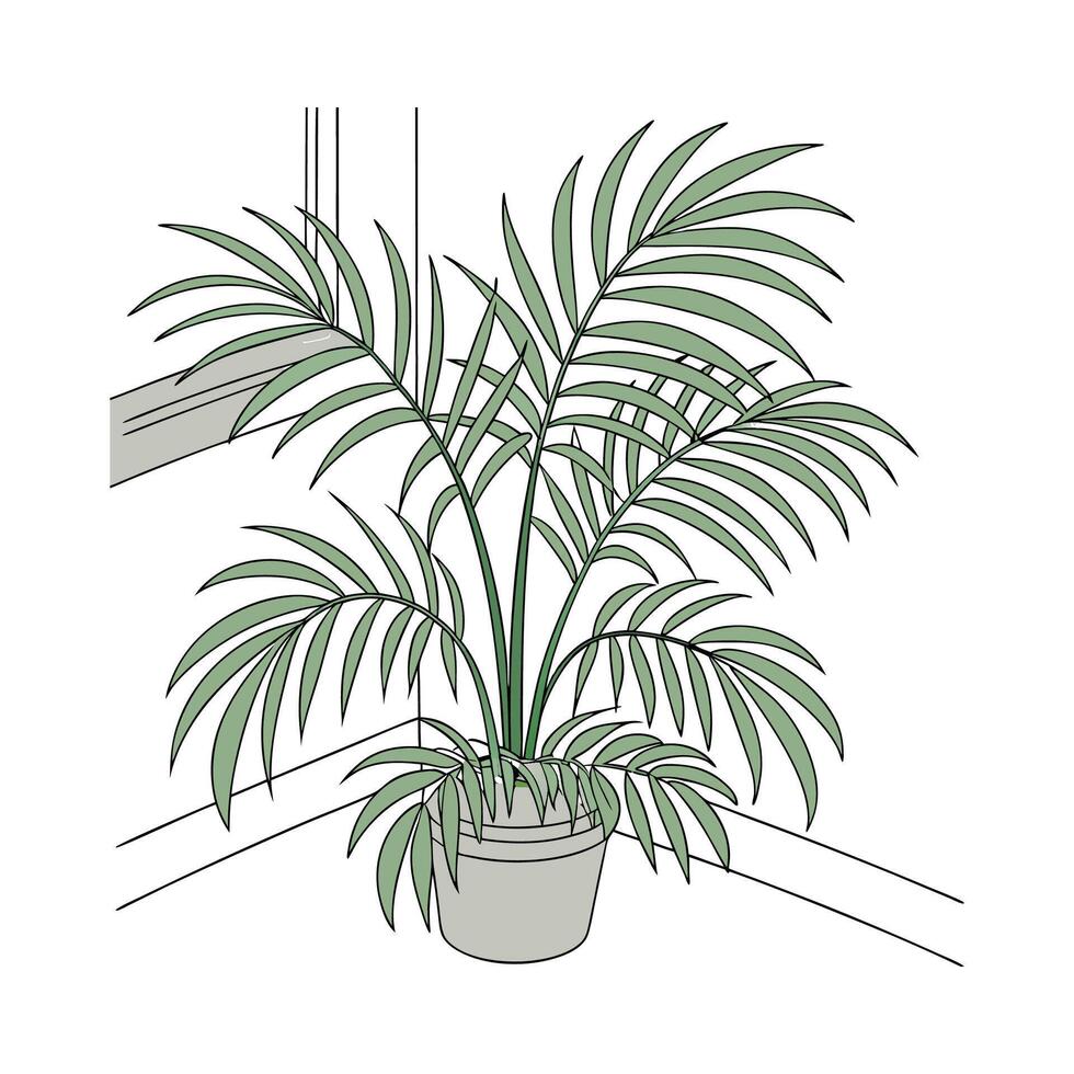 Lively Chamaedorea Elegans Displayed on White vector