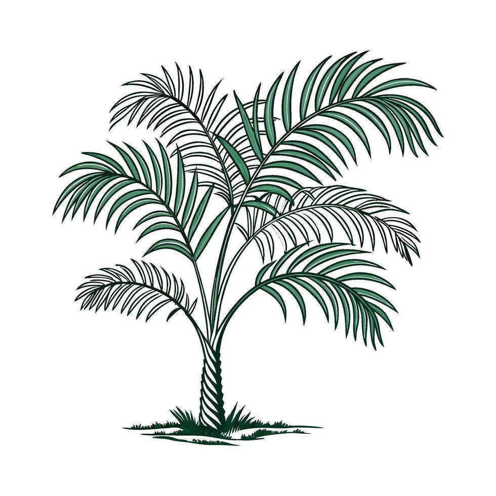 Bright Parlor Palm on White Background vector